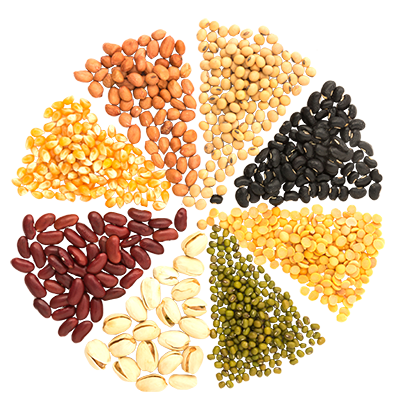 pulses